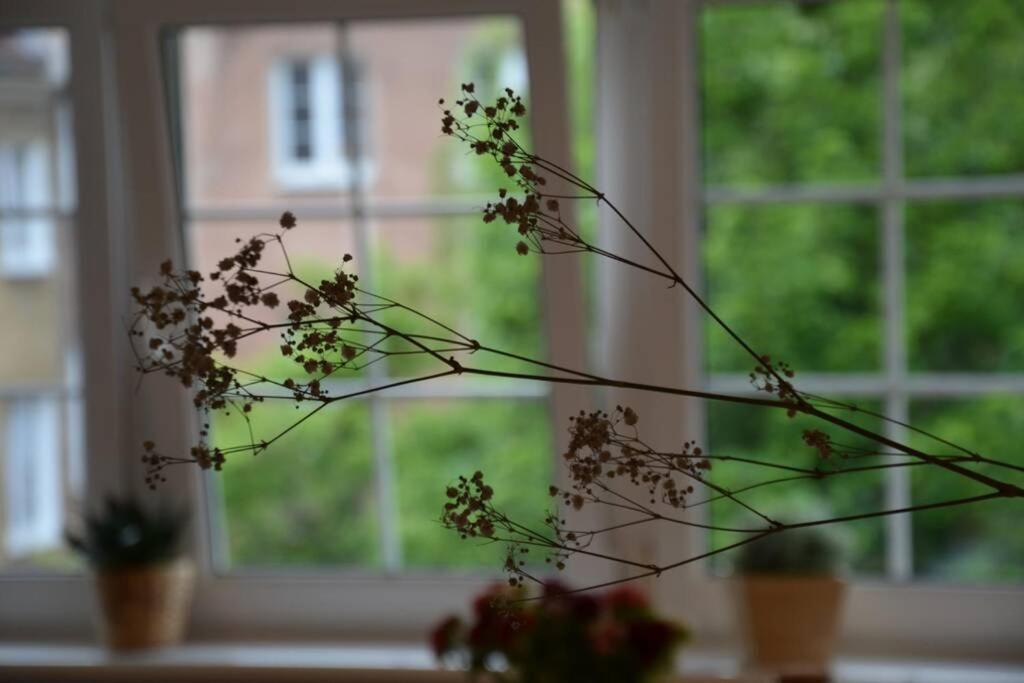 Ines Apartament Two Levels 105M2 In The Old Town Wi-Fi, オルシュティン エクステリア 写真